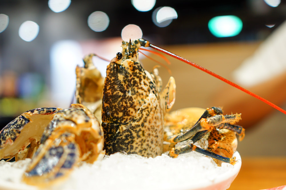 台北高檔活海鮮火鍋店│大釧鍋物 法國藍龍蝦雙人套餐│新鮮到完全不需要醬料│捷運南京復興站 台北高檔活海鮮火鍋店│大釧鍋物 法國藍龍蝦雙人套餐│新鮮到完全不需要醬料│捷運南京復興站