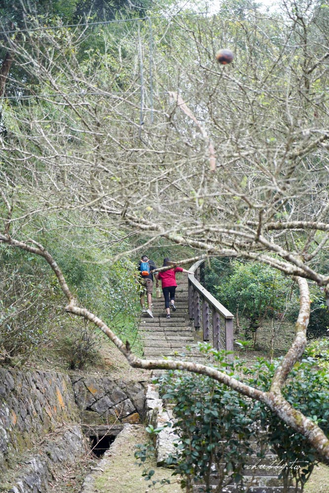 嘉義梅山景點│太平老街IG打卡景點整理、竹林茶坊、馬賽克拼貼、壁畫彩繪 嘉義梅山景點│太平老街IG打卡景點整理、竹林茶坊、馬賽克拼貼、壁畫彩繪