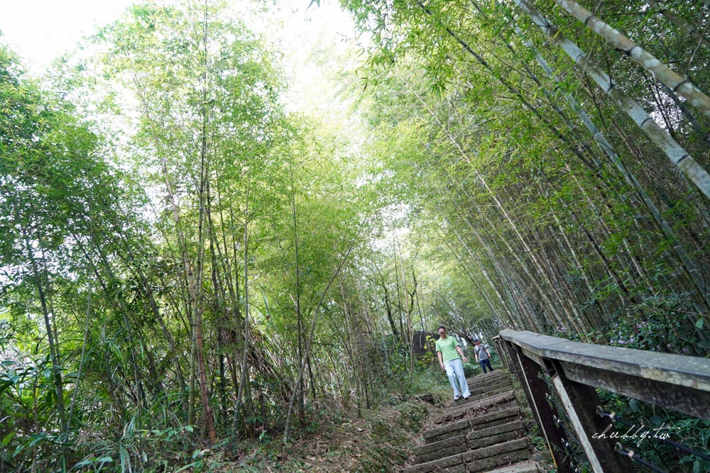 嘉義梅山景點│太平老街IG打卡景點整理、竹林茶坊、馬賽克拼貼、壁畫彩繪 嘉義梅山景點│太平老街IG打卡景點整理、竹林茶坊、馬賽克拼貼、壁畫彩繪