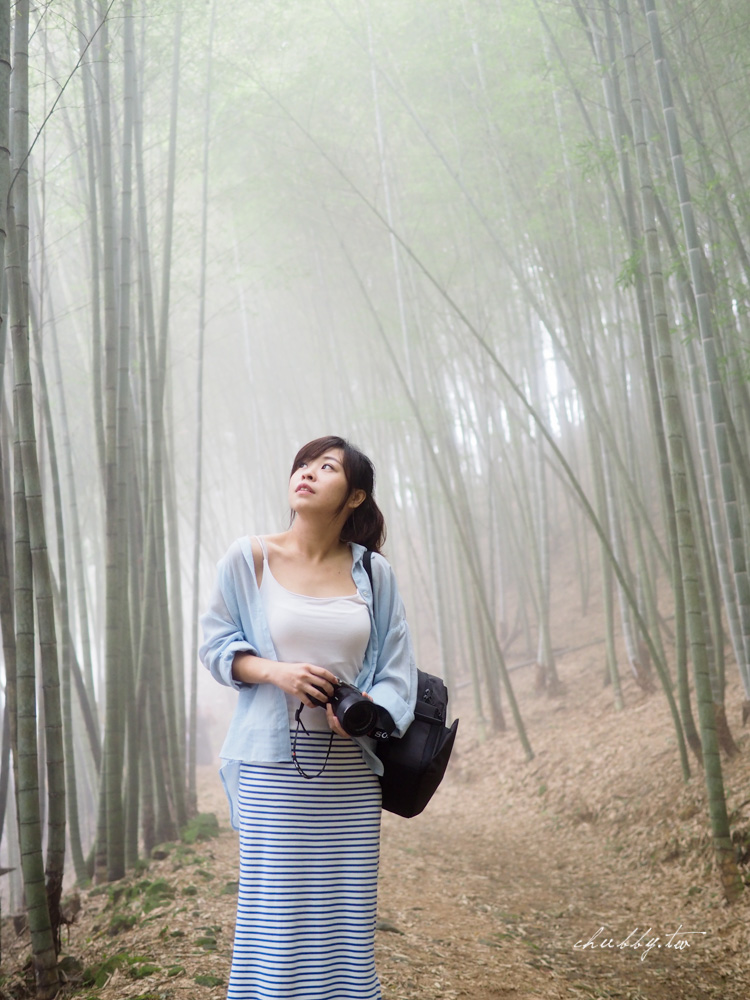 龍眼林茶工場│嘉義梅山龍眼村景點體驗│五星級冠軍茶品茗茶體驗、漫步台版的嵐山竹林秘境 龍眼林茶工場│嘉義梅山龍眼村景點體驗│五星級冠軍茶品茗茶體驗、漫步台版的嵐山竹林秘境