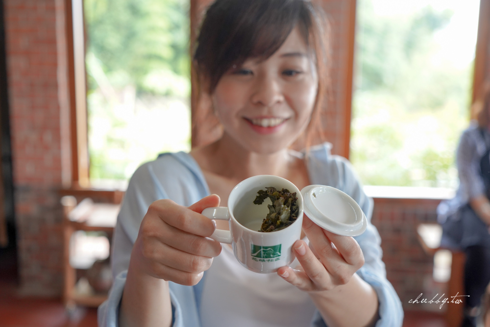 龍眼林茶工場│嘉義梅山龍眼村景點體驗│五星級冠軍茶品茗茶體驗、漫步台版的嵐山竹林秘境 龍眼林茶工場│嘉義梅山龍眼村景點體驗│五星級冠軍茶品茗茶體驗、漫步台版的嵐山竹林秘境