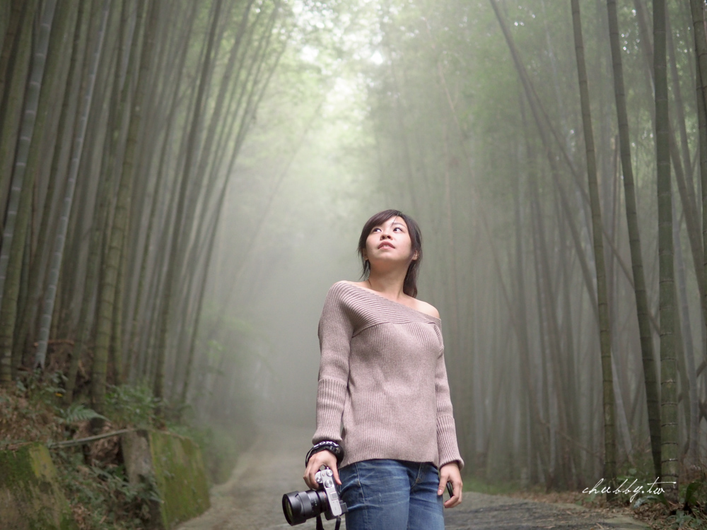瑞里社區綠色隧道茶席體驗