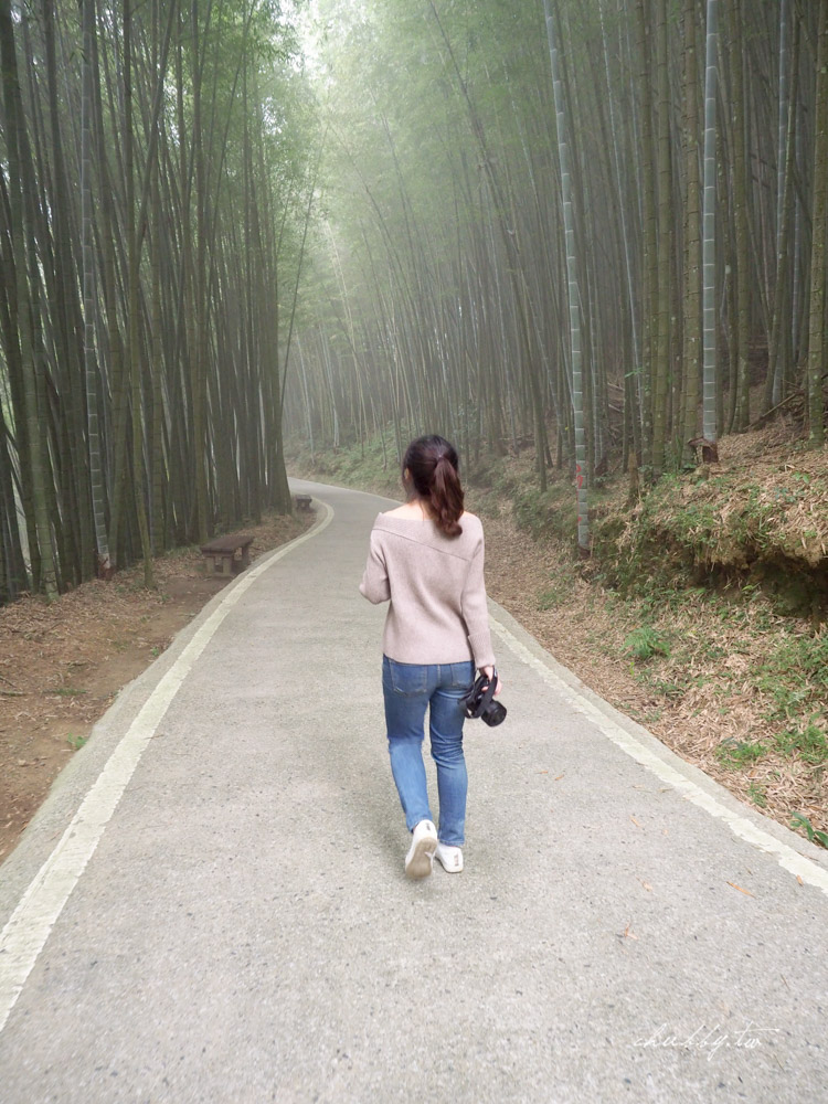嘉義梅山景點推薦|瑞里綠色隧道茶席體驗|原始竹林裡的茶席饗宴 嘉義梅山景點推薦|瑞里綠色隧道茶席體驗|原始竹林裡的茶席饗宴