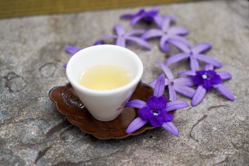 嘉義梅山景點推薦|瑞里綠色隧道茶席體驗|原始竹林裡的茶席饗宴 嘉義梅山景點推薦|瑞里綠色隧道茶席體驗|原始竹林裡的茶席饗宴