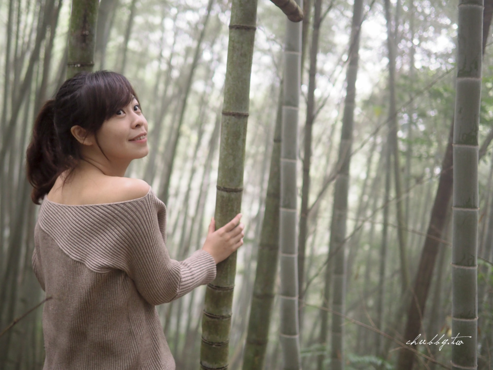 嘉義梅山景點推薦|瑞里綠色隧道茶席體驗|原始竹林裡的茶席饗宴 嘉義梅山景點推薦|瑞里綠色隧道茶席體驗|原始竹林裡的茶席饗宴