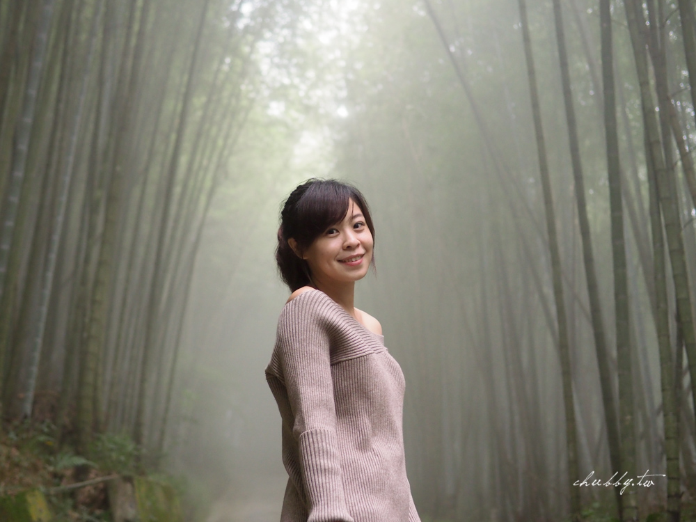 嘉義梅山景點推薦|瑞里綠色隧道茶席體驗|原始竹林裡的茶席饗宴 嘉義梅山景點推薦|瑞里綠色隧道茶席體驗|原始竹林裡的茶席饗宴
