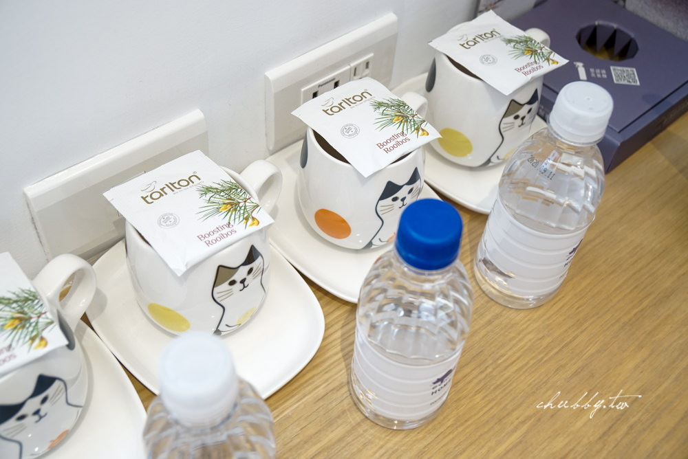 朵麗絲的家 DORIS HOME B&B│日月潭住宿推薦：友善寵物住宿的貓咪天地，親子住宿推薦！近水社碼頭