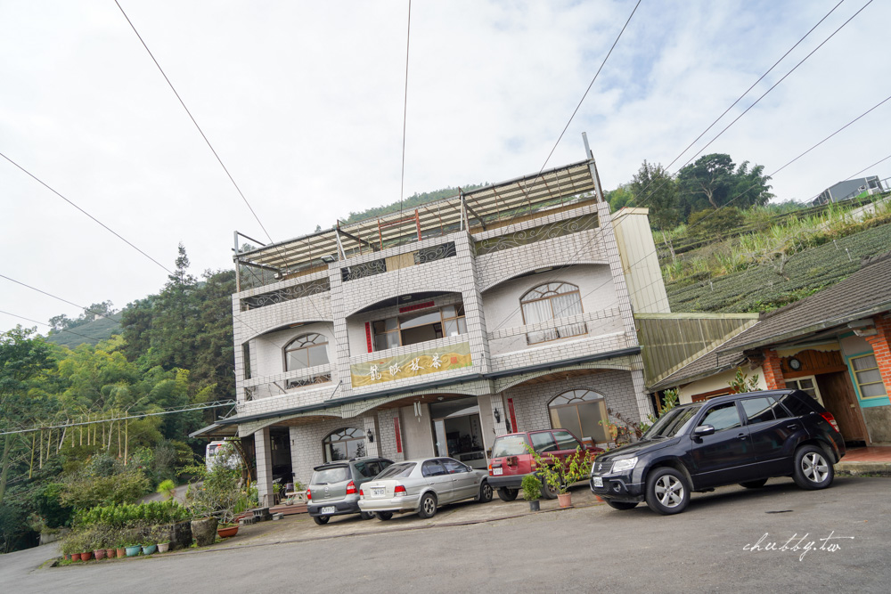 龍眼林茶工場│嘉義梅山龍眼村景點體驗│五星級冠軍茶品茗茶體驗、漫步台版的嵐山竹林秘境