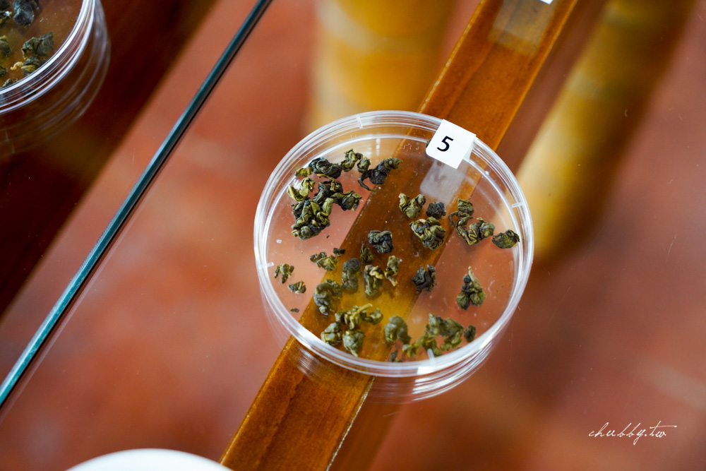 龍眼林茶工場│嘉義梅山龍眼村景點體驗│五星級冠軍茶品茗茶體驗、漫步台版的嵐山竹林秘境