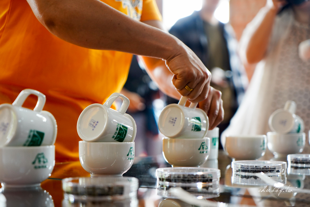 龍眼林茶工場│嘉義梅山龍眼村景點體驗│五星級冠軍茶品茗茶體驗、漫步台版的嵐山竹林秘境