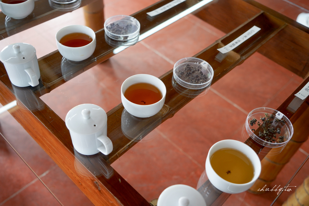 龍眼林茶工場│嘉義梅山龍眼村景點體驗│五星級冠軍茶品茗茶體驗、漫步台版的嵐山竹林秘境