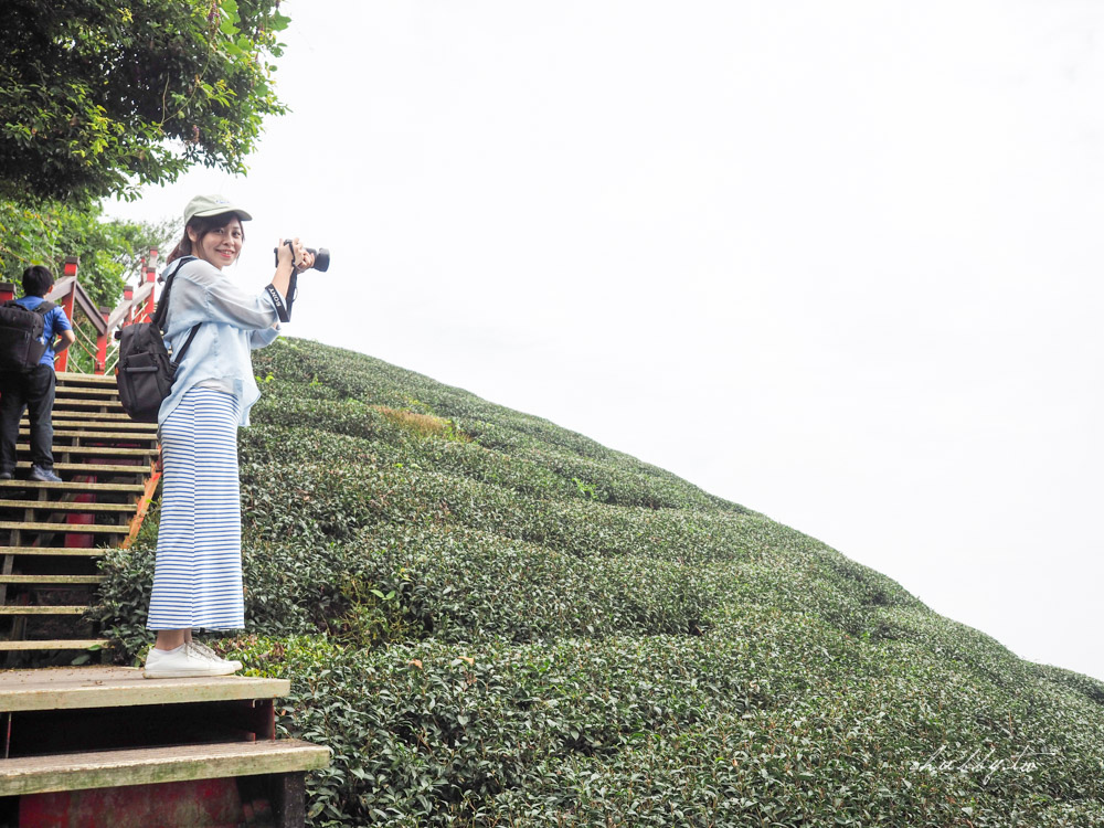 嘉義梅山景點｜二尖山步道、嘉義版抹茶山｜只要10分鐘，嘉南平原盡收眼底
