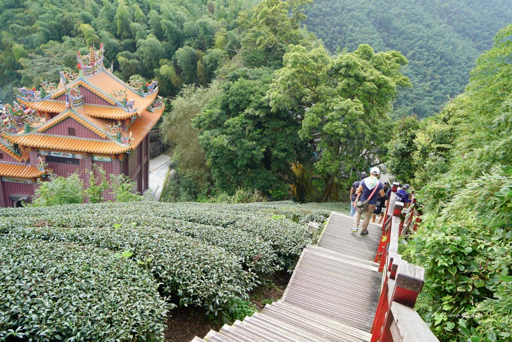 嘉義梅山景點｜二尖山步道、嘉義版抹茶山｜只要10分鐘，嘉南平原盡收眼底