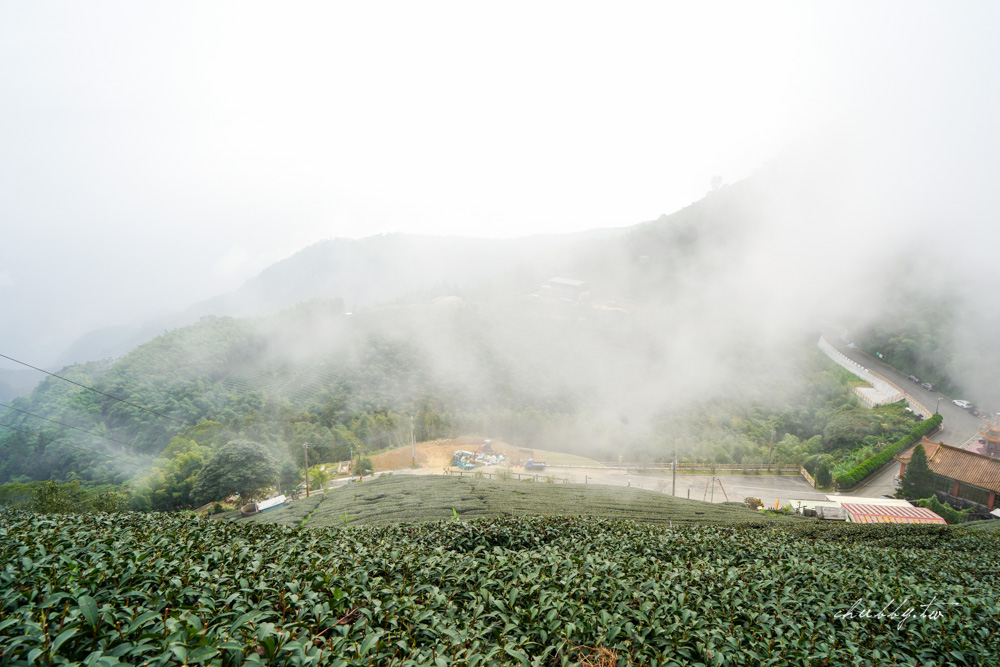 嘉義梅山景點｜二尖山步道、嘉義版抹茶山｜只要10分鐘，嘉南平原盡收眼底