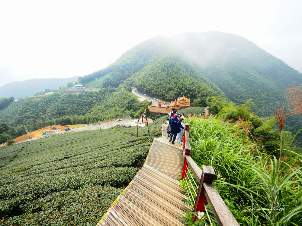 嘉義梅山景點｜二尖山步道、嘉義版抹茶山｜只要10分鐘，嘉南平原盡收眼底