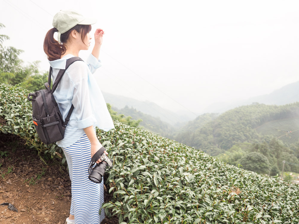 嘉義梅山景點｜二尖山步道、嘉義版抹茶山｜只要10分鐘，嘉南平原盡收眼底