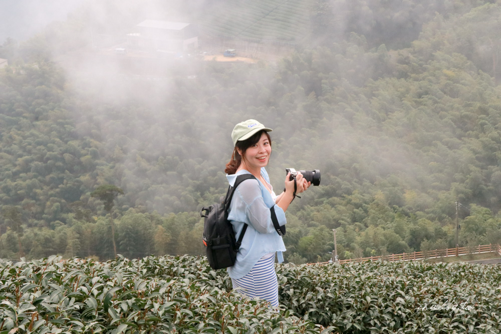 嘉義梅山景點｜二尖山步道、嘉義版抹茶山｜只要10分鐘，嘉南平原盡收眼底
