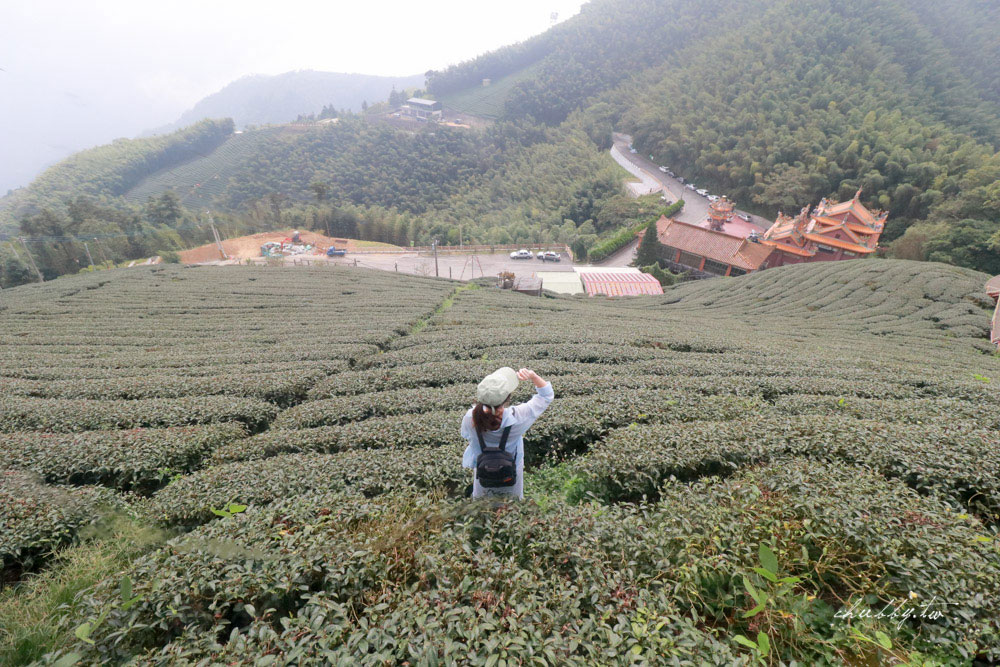 嘉義梅山景點｜二尖山步道、嘉義版抹茶山｜只要10分鐘，嘉南平原盡收眼底
