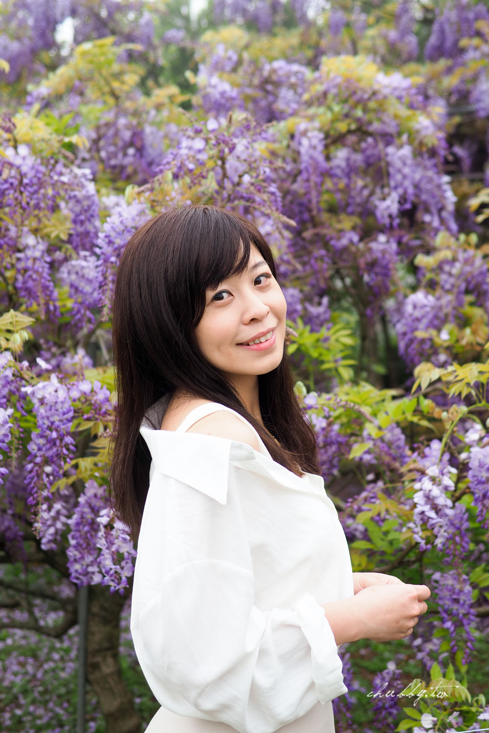淡水夢幻紫藤花隧道3/15正式開跑！最新花況、拍攝攻略、捷運、公車、停車場資訊