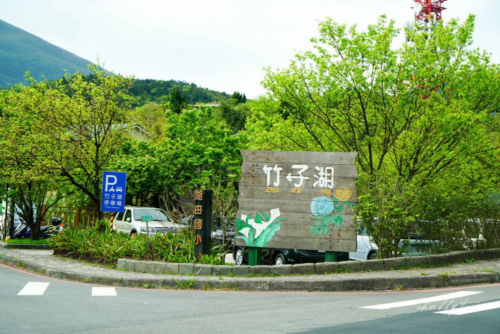 【名陽匍休閒農莊】台北陽明山海芋季最佳拍攝海芋景點！海芋田中的小木屋、在海芋田盪鞦韆(交通/票價/最美避開人潮的拍攝點教學)