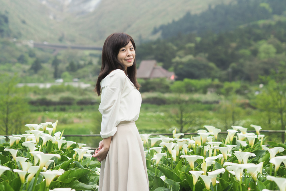 【名陽匍休閒農莊】台北陽明山海芋季最佳拍攝海芋景點！海芋田中的小木屋、在海芋田盪鞦韆(交通/票價/最美避開人潮的拍攝點教學)