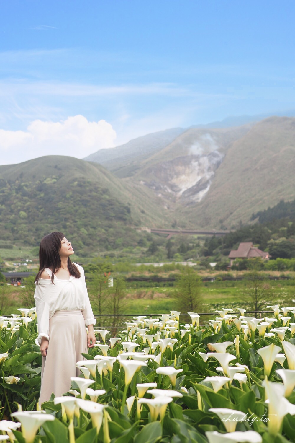 【名陽匍休閒農莊】台北陽明山海芋季最佳拍攝海芋景點！海芋田中的小木屋、在海芋田盪鞦韆(交通/票價/最美避開人潮的拍攝點教學)