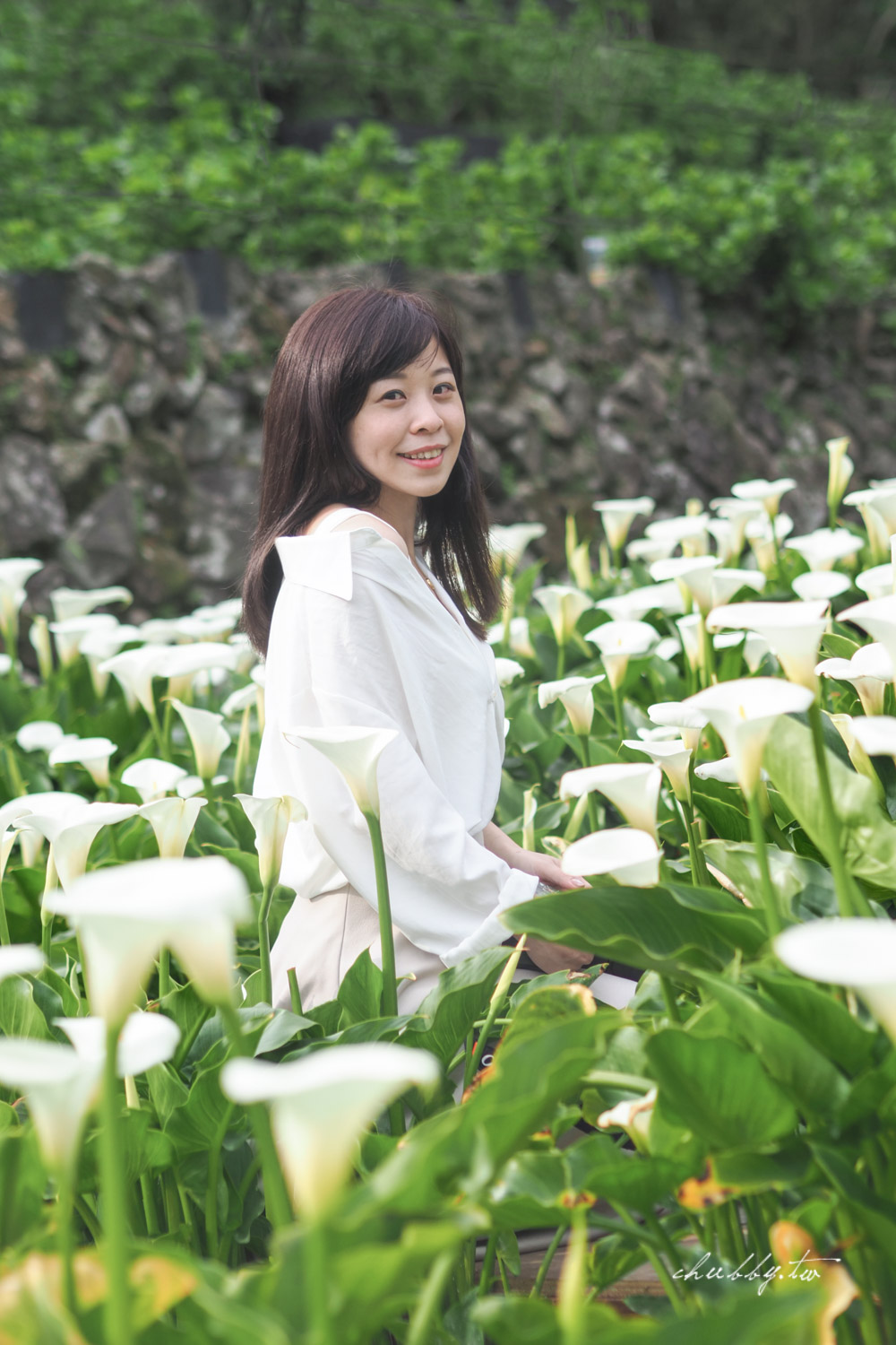 【名陽匍休閒農莊】台北陽明山海芋季最佳拍攝海芋景點！海芋田中的小木屋、在海芋田盪鞦韆(交通/票價/最美避開人潮的拍攝點教學)