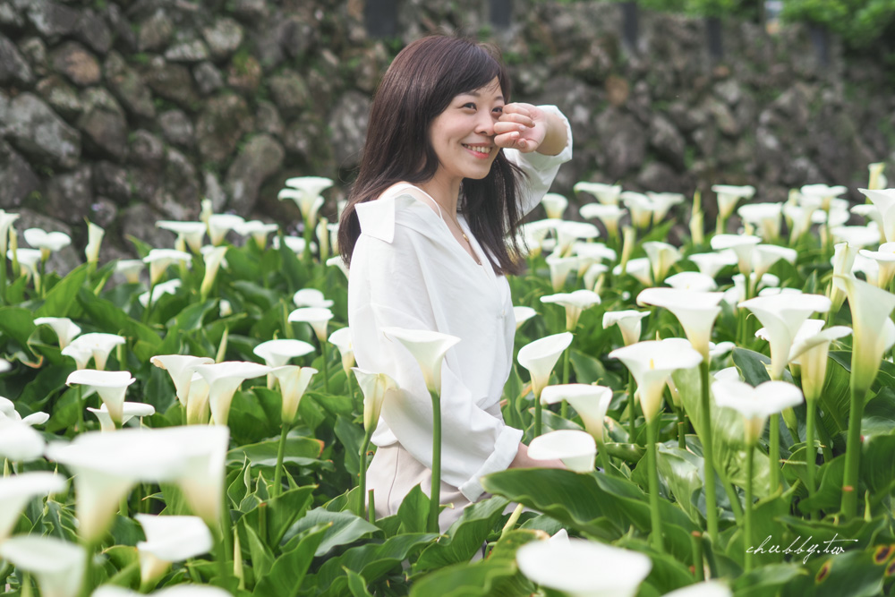 【名陽匍休閒農莊】台北陽明山海芋季最佳拍攝海芋景點！海芋田中的小木屋、在海芋田盪鞦韆(交通/票價/最美避開人潮的拍攝點教學)