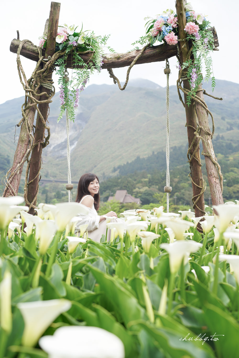 【名陽匍休閒農莊】台北陽明山海芋季最佳拍攝海芋景點！海芋田中的小木屋、在海芋田盪鞦韆(交通/票價/最美避開人潮的拍攝點教學)