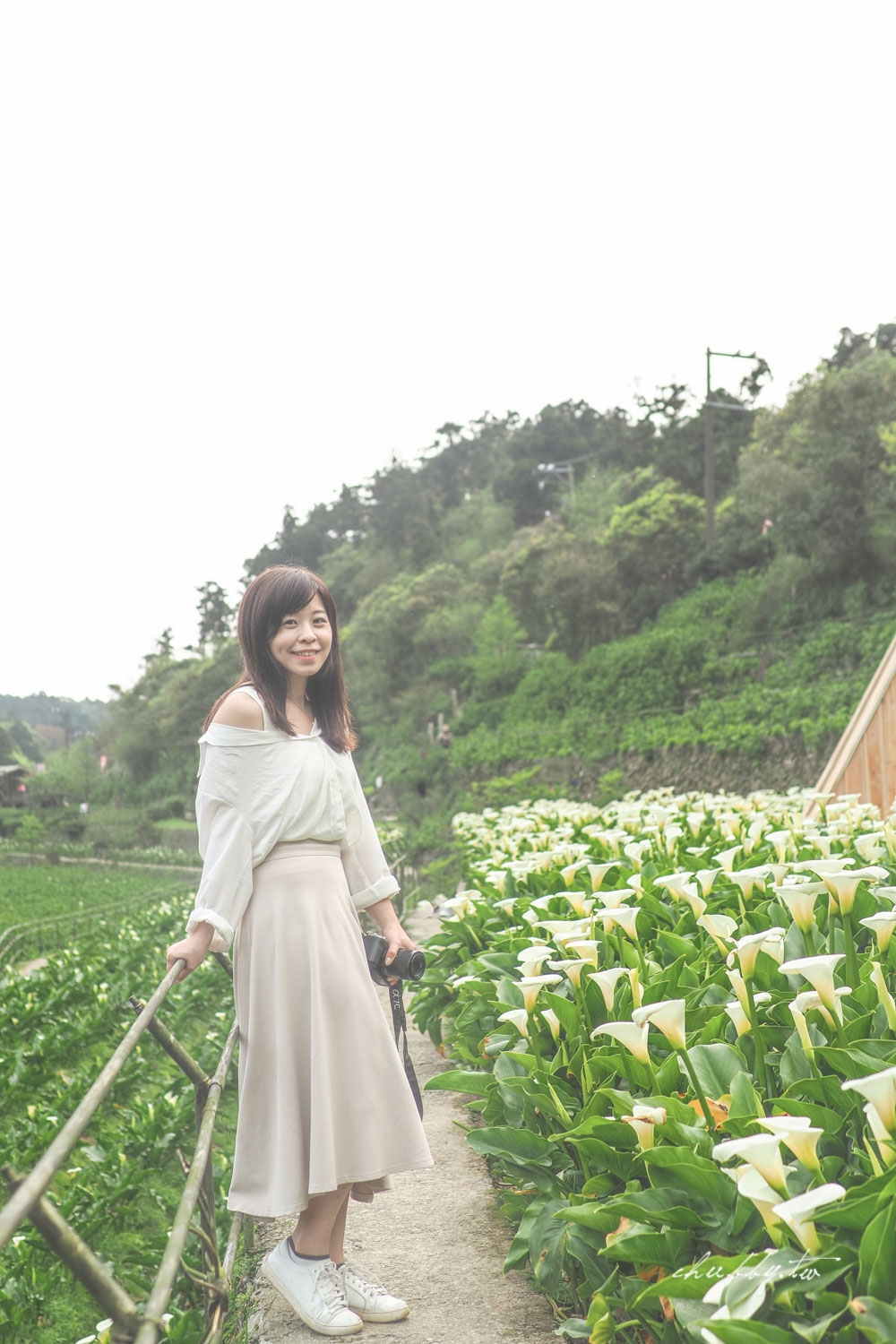 【名陽匍休閒農莊】台北陽明山海芋季最佳拍攝海芋景點！海芋田中的小木屋、在海芋田盪鞦韆(交通/票價/最美避開人潮的拍攝點教學)