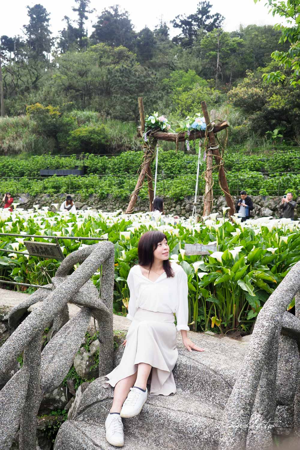 【名陽匍休閒農莊】台北陽明山海芋季最佳拍攝海芋景點！海芋田中的小木屋、在海芋田盪鞦韆(交通/票價/最美避開人潮的拍攝點教學)