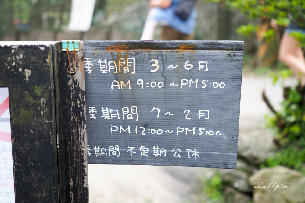 【名陽匍休閒農莊】台北陽明山海芋季最佳拍攝海芋景點！海芋田中的小木屋、在海芋田盪鞦韆(交通/票價/最美避開人潮的拍攝點教學)