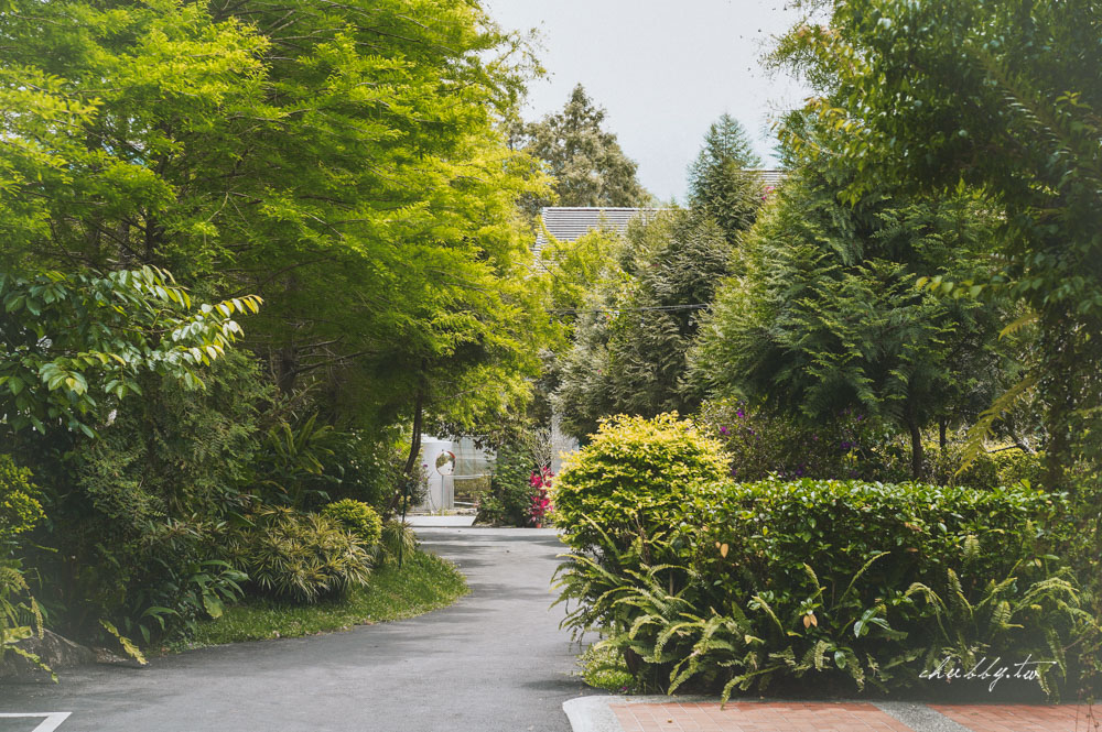 日月潭民宿推薦│LOOK 路殼民宿，適合包棟、英倫美式工業風格、溫柔又粗曠的藝術質感創意家居宅