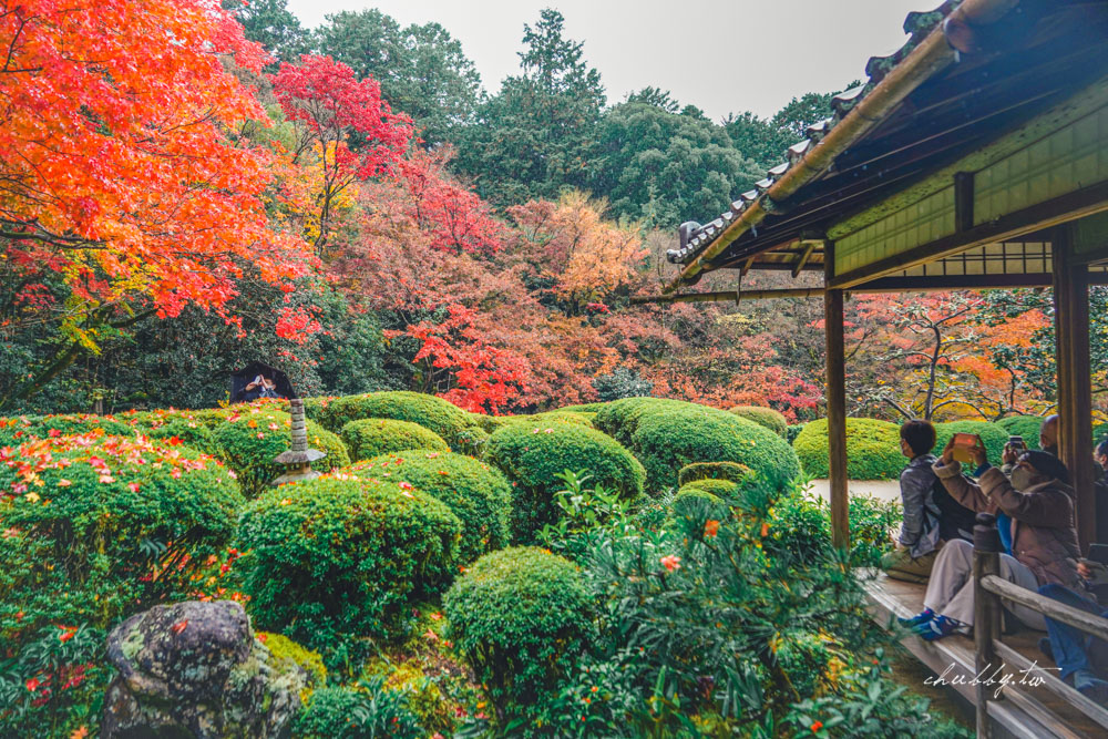 京阪神必買交通票券:關西周遊卡3日遊介紹,京都嵐山+奈良宇治+一乘寺一券走透透! 京阪神必買交通票券:關西周遊卡3日遊介紹,京都嵐山+奈良宇治+一乘寺一券走透透!