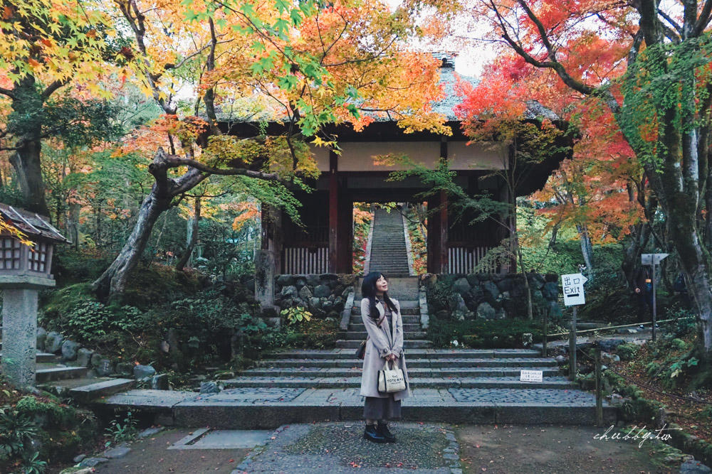 京阪神必買交通票券:關西周遊卡3日遊介紹,京都嵐山+奈良宇治+一乘寺一券走透透! 京阪神必買交通票券:關西周遊卡3日遊介紹,京都嵐山+奈良宇治+一乘寺一券走透透!
