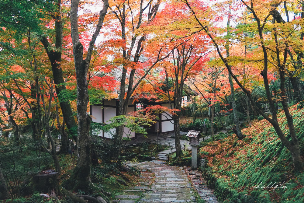京阪神必買交通票券:關西周遊卡3日遊介紹,京都嵐山+奈良宇治+一乘寺一券走透透! 京阪神必買交通票券:關西周遊卡3日遊介紹,京都嵐山+奈良宇治+一乘寺一券走透透!