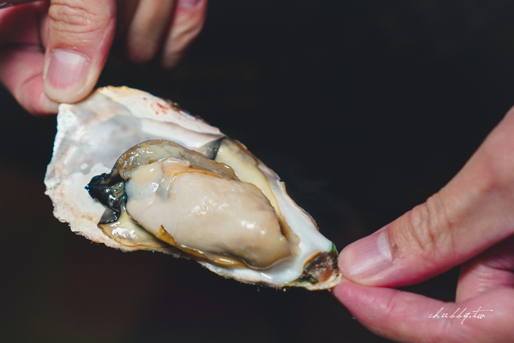 峇嵐杉丘一泊三食豪華露營!馬車帳開箱,南投魚池豪華露營 峇嵐杉丘一泊三食豪華露營!馬車帳開箱,南投魚池豪華露營
