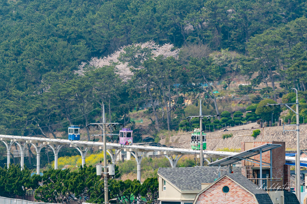 釜山│青沙浦 屋頂咖啡廳推薦!青沙森林 Cheongsa Foret Cafe(청사포레),絕美海景咖啡廳,遠眺紅白燈塔和膠囊列車,可頌鬆餅超好吃! 釜山│青沙浦 屋頂咖啡廳推薦!青沙森林 Cheongsa Foret Cafe(청사포레),絕美海景咖啡廳,遠眺紅白燈塔和膠囊列車,可頌鬆餅超好吃!