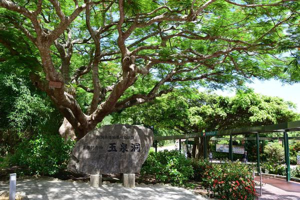 │2017沖繩自由行-Day4│上集: café street牧志市場秘境美味早餐│沖繩世界文化王國、玉泉洞│國際通小店 海想‧鯨店kaisou